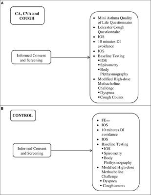 Methacholine-Induced Cough in the Absence of Asthma: Insights From Impulse Oscillometry